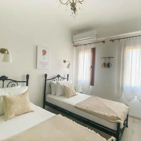 호텔 Patiska Butik Otel 닷차